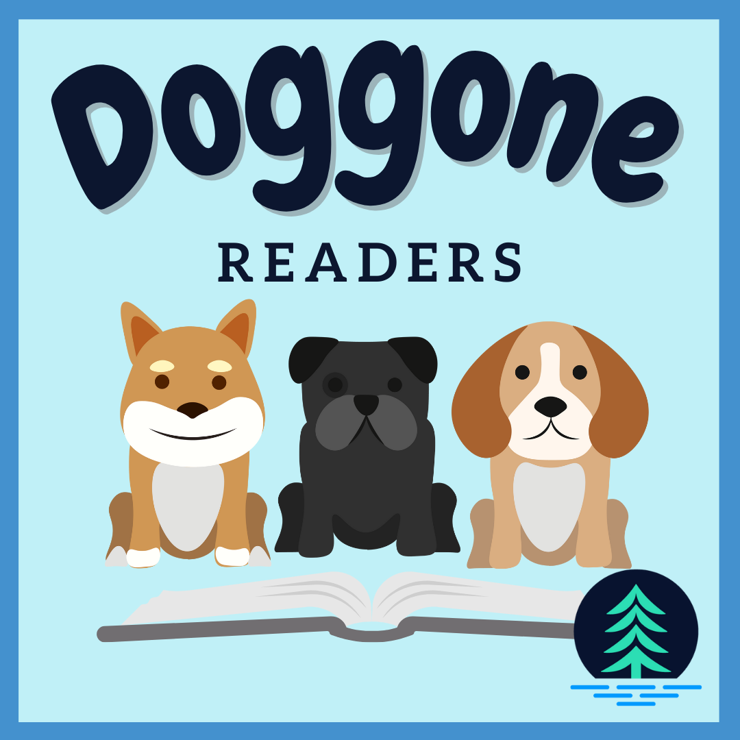 Three dogs reading a book
