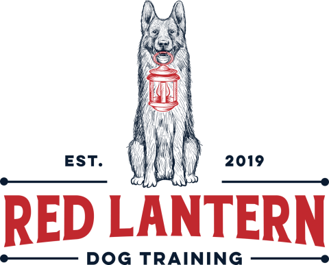 Red Lantern Dog Training