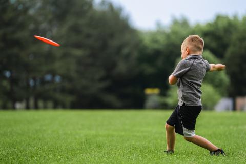 frisbee