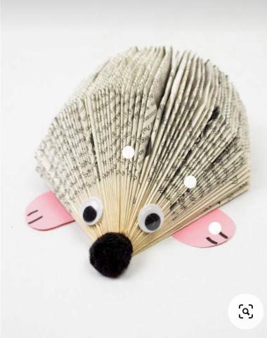 Hedgehog Book