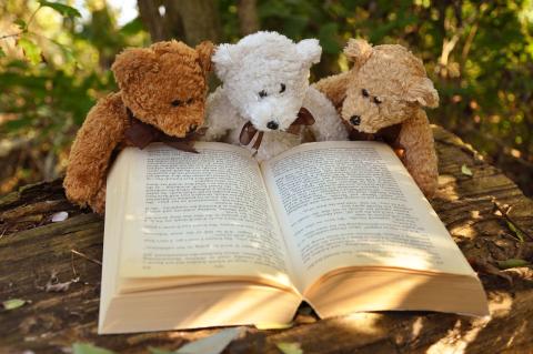 Three teddy bears reading a book outdoors.