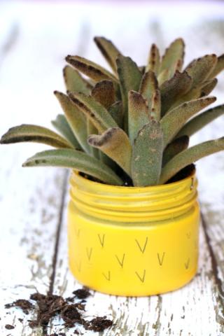 Pineapple Succulent Planter