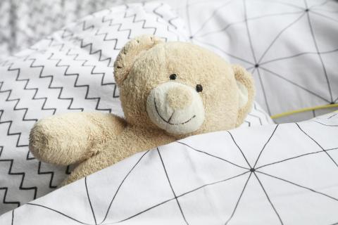 Teddy in bed