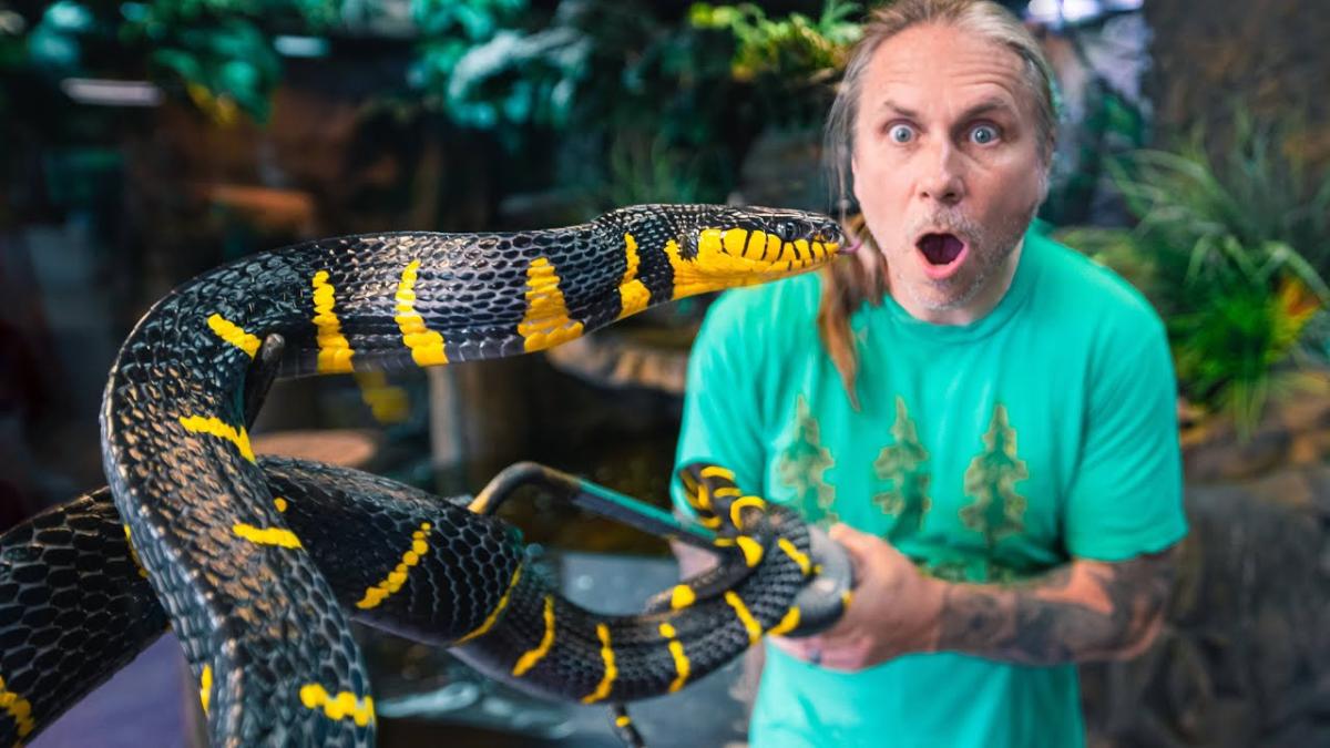 man with snake Reptarium