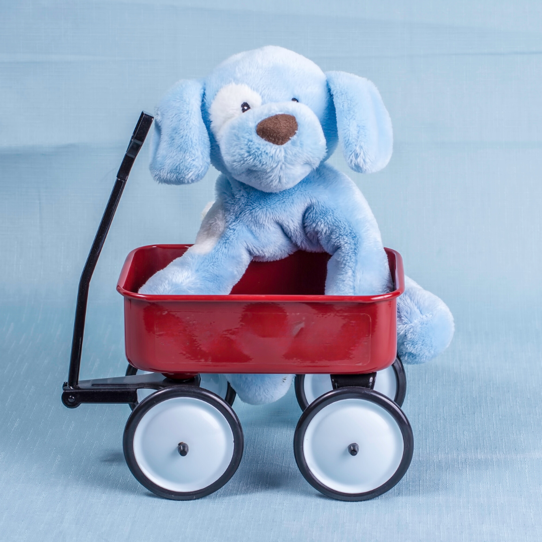 puppy in wagon